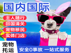 朝阳机场货运国际宠物托运 【国